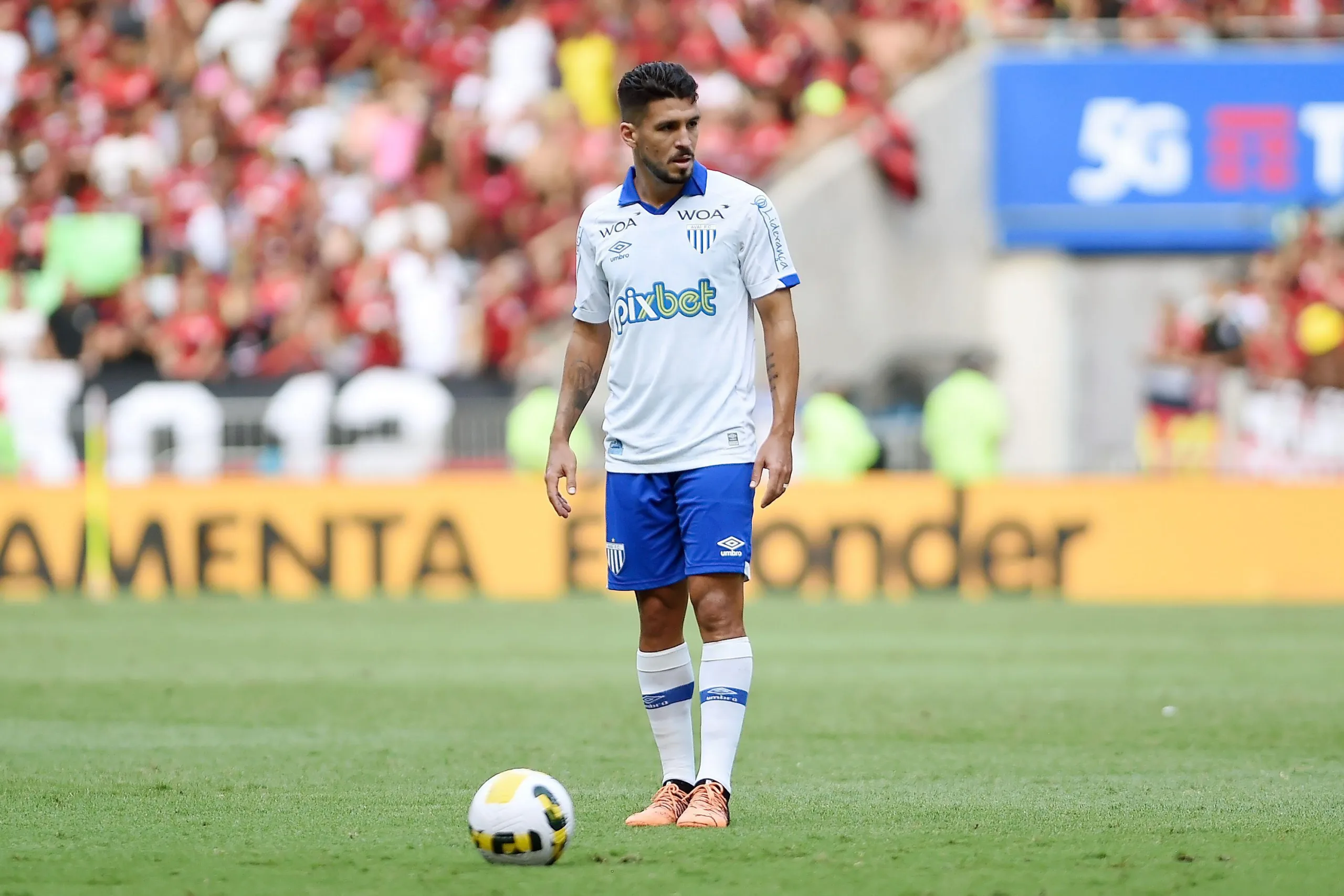 Palpite: Avaí x Goiás – Série B – 27/05/2024