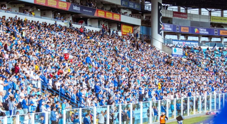 Avaí x CRB: onde assistir à partida do Brasileirão Série B