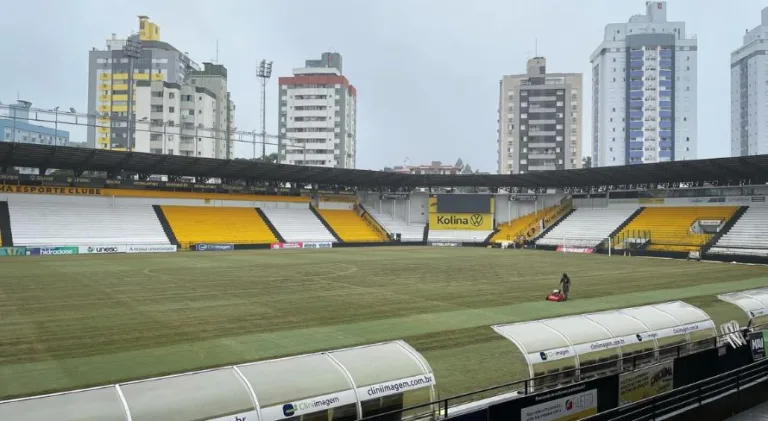 Criciúma x Bahia: onde assistir ao jogo da Copa do Brasil