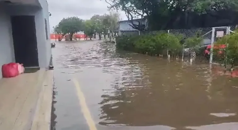 Mauro Cezar volta a defender sequência do Brasileirão: “Não é opinião, é constatação”