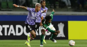 Julio Gomes analisa lesão de Endrick na Libertadores: “Talvez tenha sido a última partida”