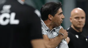 Áudio do VAR de Palmeiras x Botafogo-SP é divulgado e mostra dúvida em gol anulado