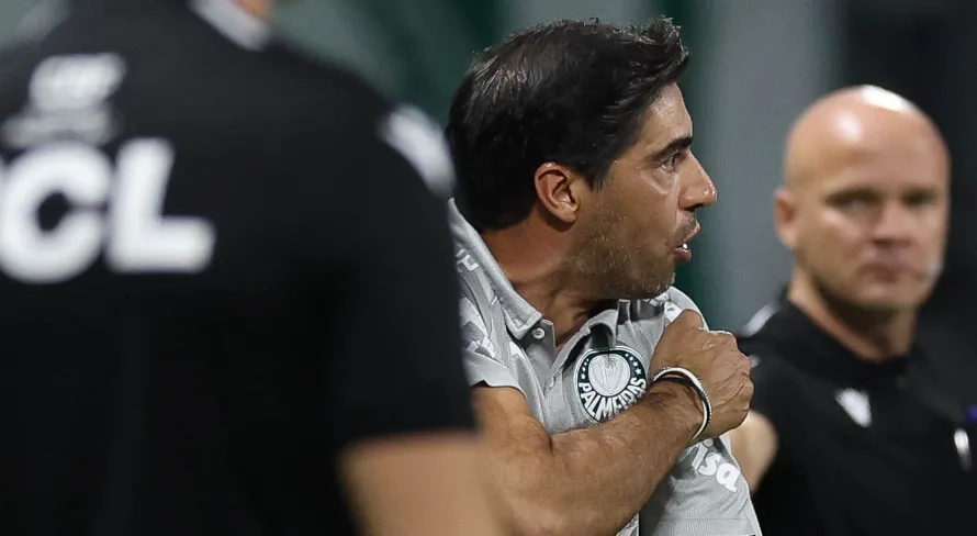 Áudio do VAR de Palmeiras x Botafogo-SP é divulgado e mostra dúvida em gol anulado