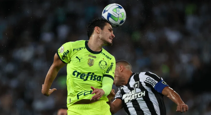 Martín Fernández acredita que Palmeiras e Botafogo podem decidir novamente o Brasileirão Série A