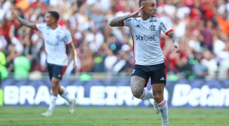 Flamengo é o time do Brasileirão com melhor aproveitamento no ano