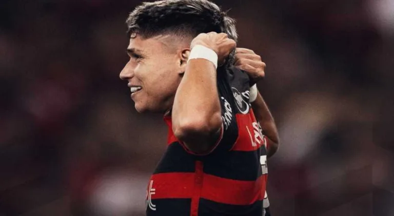 Flamengo vence o Grêmio e assume liderança do Brasileirão Série A