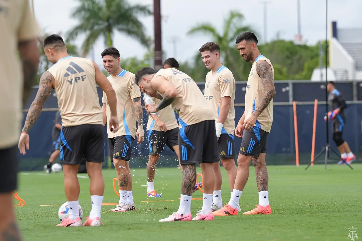 Argentina x Equador: onde assistir ao jogo da Copa América