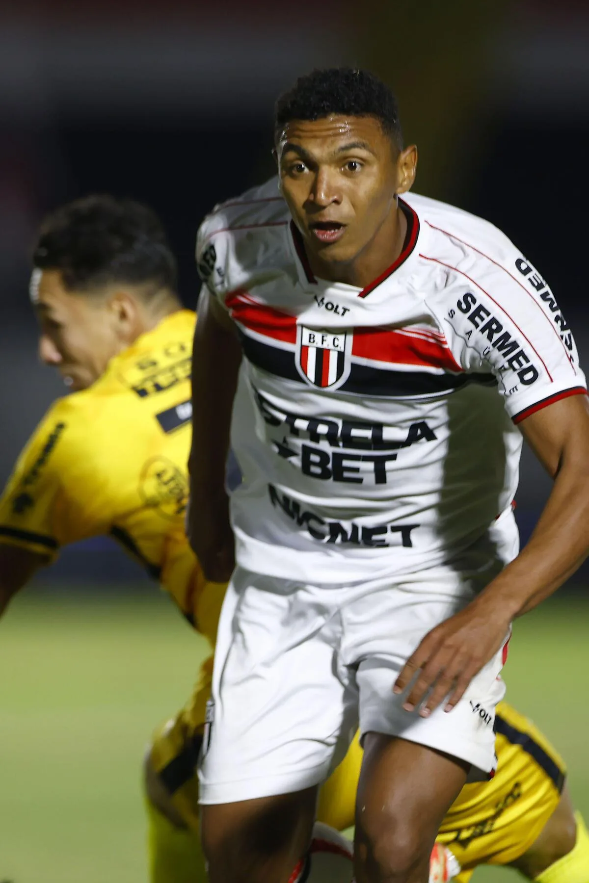 Palpite: Botafogo-SP x Brusque – Série B – 21 de julho de 2024