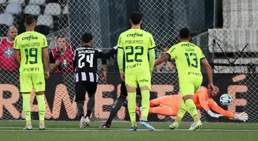 Botafogo x Palmeiras: onde assistir ao jogo do Brasileirão Série A