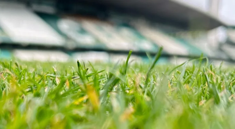 Coritiba x Chapecoense: onde assistir à partida do Brasileirão Série B