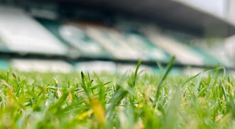 Coritiba x Mirassol: onde assistir à partida do Brasileirão Série B