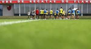 Flamengo x Criciúma: onde assistir ao jogo do Brasileirão Série A