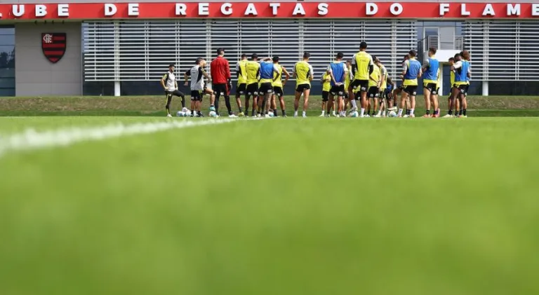 Flamengo x Criciúma: onde assistir ao jogo do Brasileirão Série A