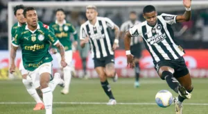 Palmeiras pode ser ajudado por lesão de Júnior Santos, do Botafogo, segundo Danilo Lavieri