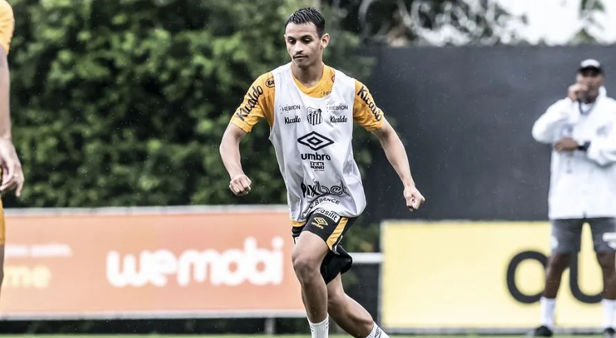 Sormani revela proposta de time da Champions League por jogador do Santos