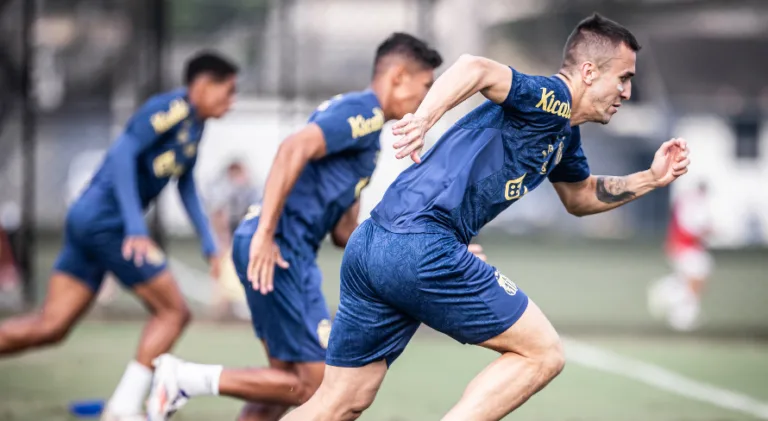 Santos hoje pode se isolar em primeiro na classificação do Brasileirão Série B; veja cenários