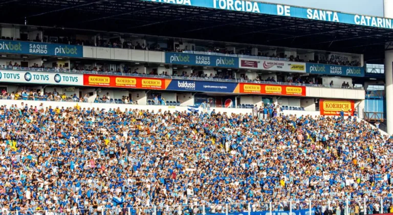 Avaí x Operário-PR: onde assistir ao jogo do Brasileirão Série B