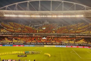 Torcedores do Botafogo fazem mosaico inédito para receber o time contra o Palmeiras; veja