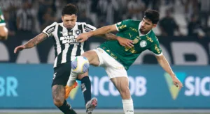 Libertadores: Fábio Luciano avalia Botafogo melhor do que Palmeiras