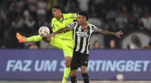 Botafogo x Palmeiras, Flamengo e mais: saiba como estão os brasileiros na Libertadores hoje (16/8)