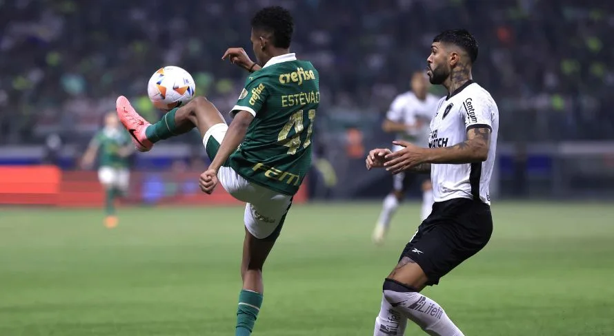 Torcedores destacam Estêvão em Palmeiras x Botafogo
