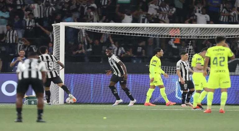 Resiliente, Botafogo vence o Palmeiras na Libertadores