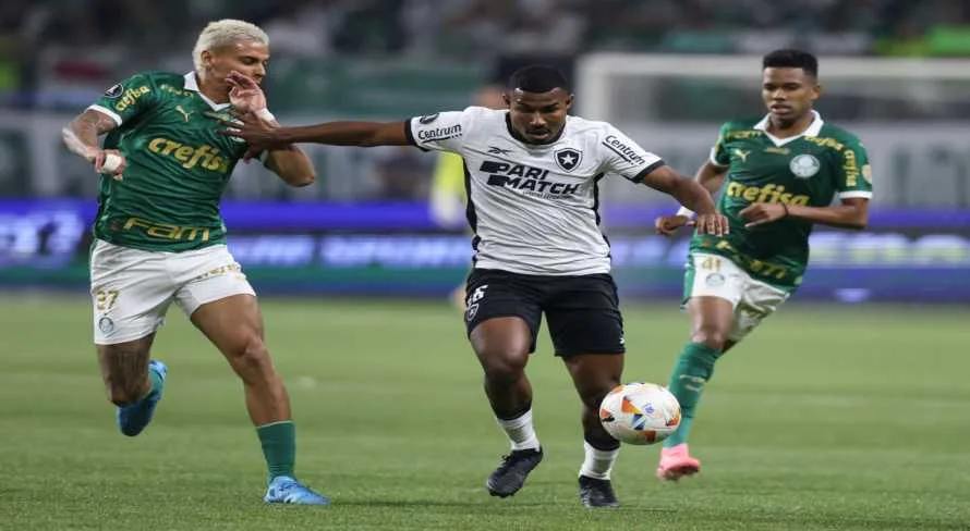 Botafogo marca dois contra o Palmeiras e encaminha classificação na Libertadores; assista