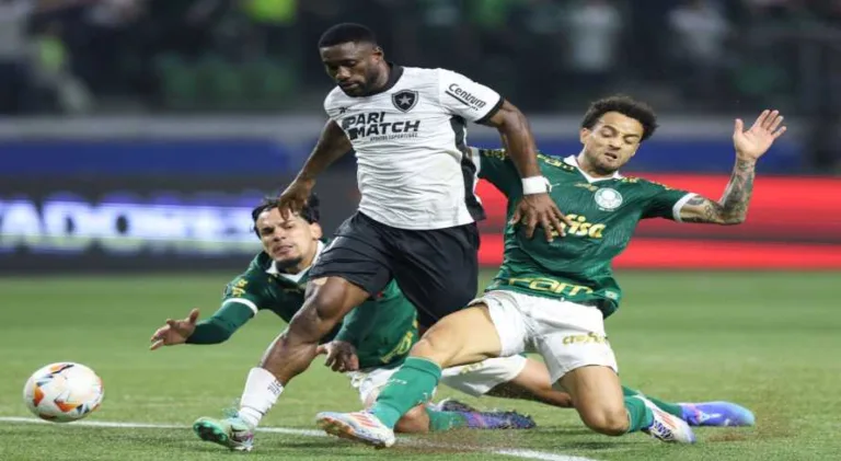 Salvo pelo VAR, Botafogo elimina o Palmeiras e avança na Libertadores