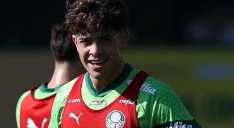 Reforço do Palmeiras admite dificuldade no Brasil, mas agradece companheiros