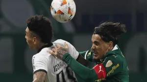 Simon analisa gol anulado do Palmeiras contra o Botafogo