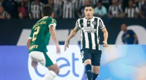 Craque Neto e Muller cravam placar de Botafogo x Palmeiras