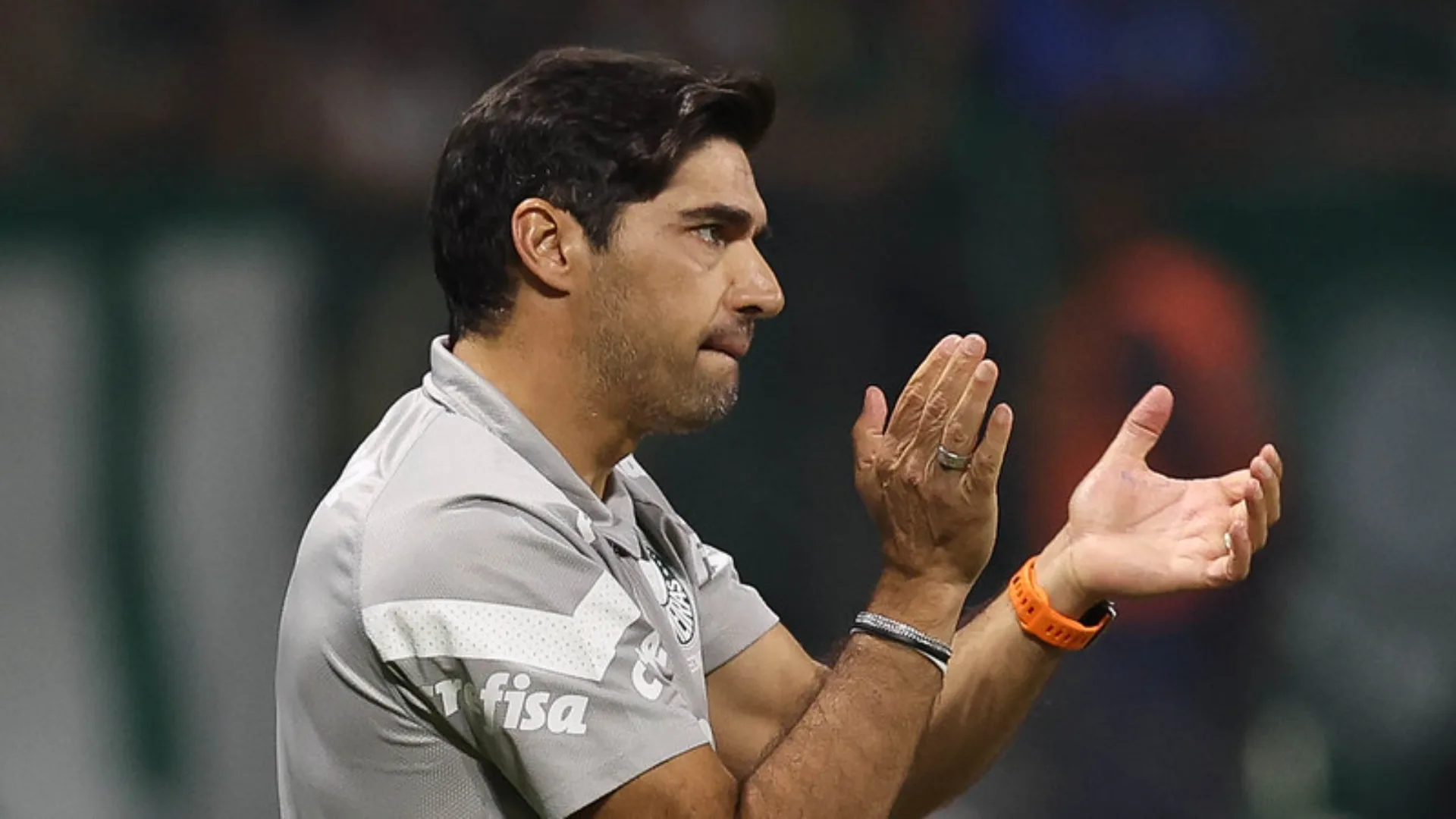 Arnaldo Ribeiro destaca falhas no repertório do Palmeiras