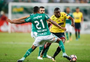 Palmeiras não sabe o que é ser eliminado nas oitavas da Libertadores há sete anos