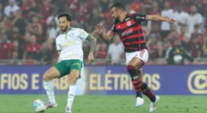 Palmeiras não vence o Flamengo por três gols de diferença há mais de 40 anos