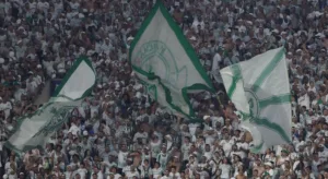 Torcedores do Palmeiras elegem maior rival e time com pior imagem no Brasil