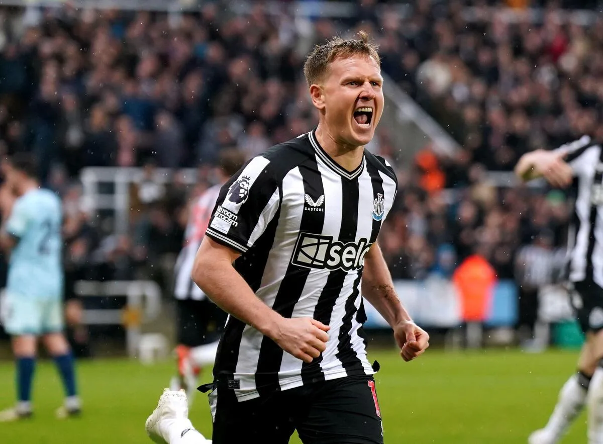 Palpite: Newcastle x Southampton – Premier League – 17 de agosto de 2024