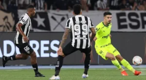 Paulo Nunes faz alerta para Palmeiras x Botafogo na Libertadores