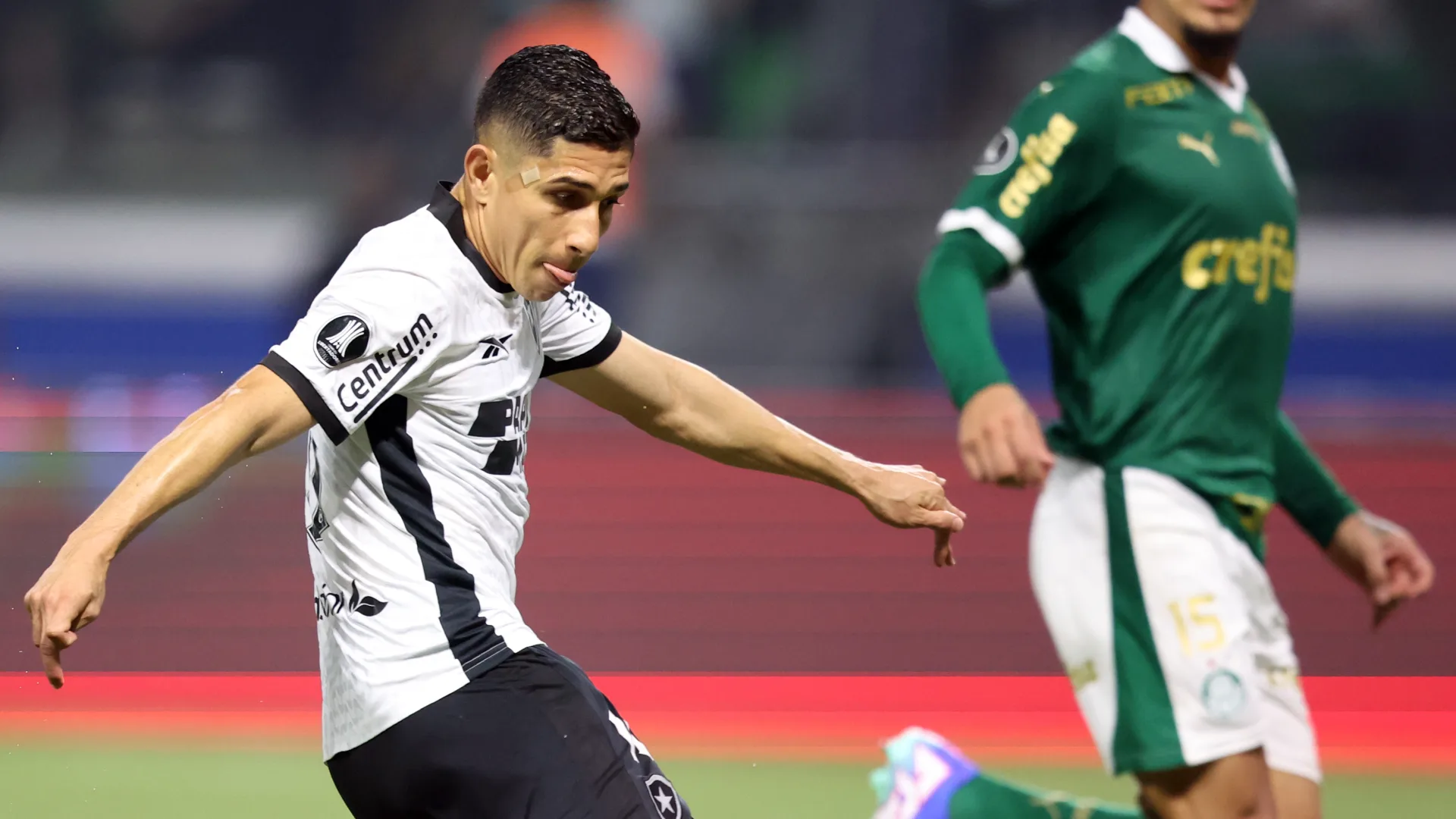 Rizek elege jogador que foi “o cara” em Palmeiras x Botafogo