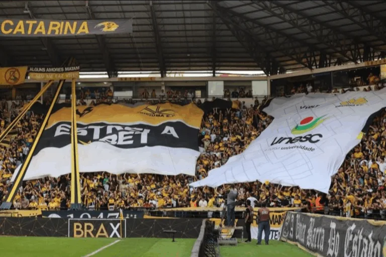 Criciúma x Grêmio: onde assistir – Brasileirão Série A