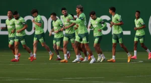 Torcedores do Palmeiras apontam jogador que deveria ser titular: “Joga muito”