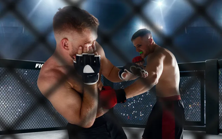 Como apostar no UFC pela Stake? Guia completo para iniciantes