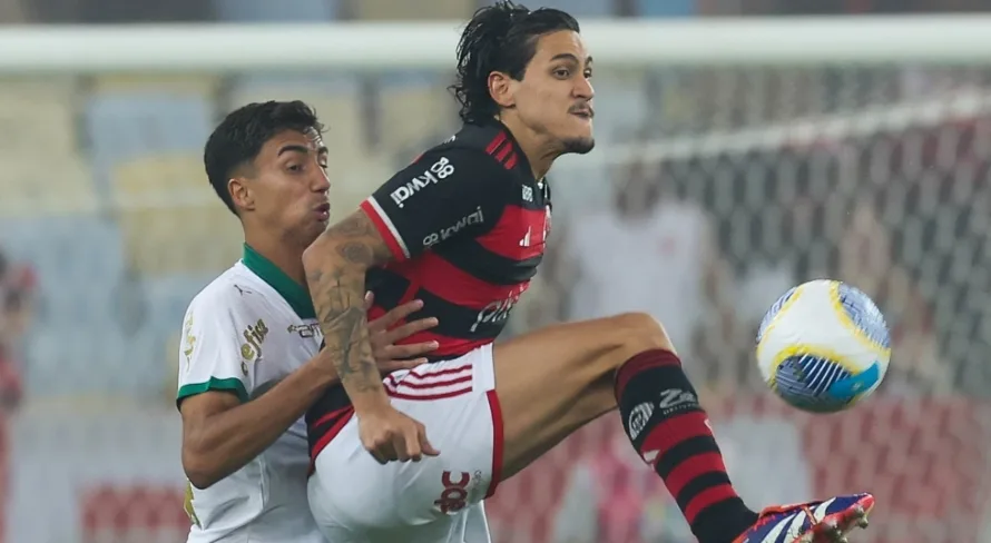 Flamengo x Palmeiras: Vampeta antecipa quem classifica na Copa do Brasil