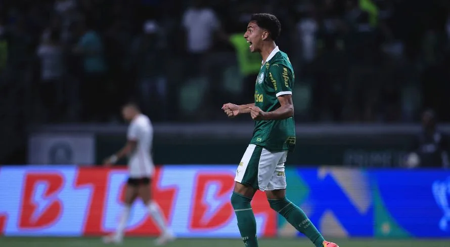 Torcedores do Palmeiras se empolgam com time competindo novamente em alto nível