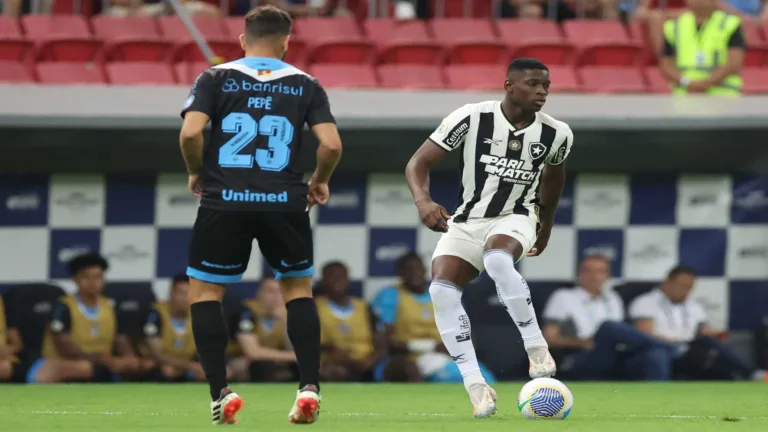 Com gol anulado, Botafogo empata com o Grêmio pelo Brasileirão Série A