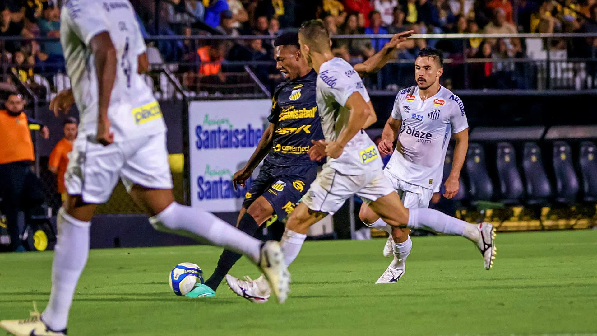 Santos x Novorizontino: Tigre leva a melhor em duelos contra o Peixe; confira