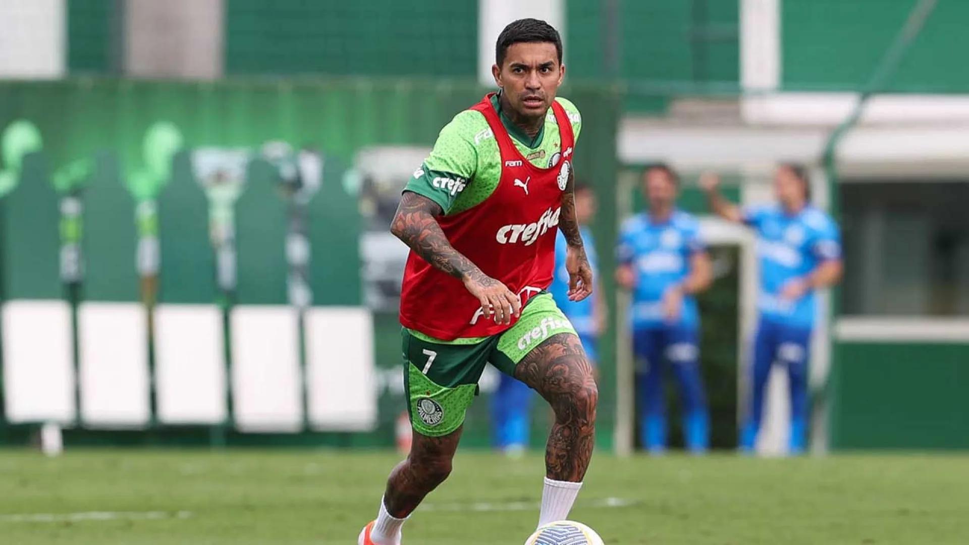 Empresário traz bastidores da negociação de Dudu com Cruzeiro e comenta conversa com torcedores do Palmeiras