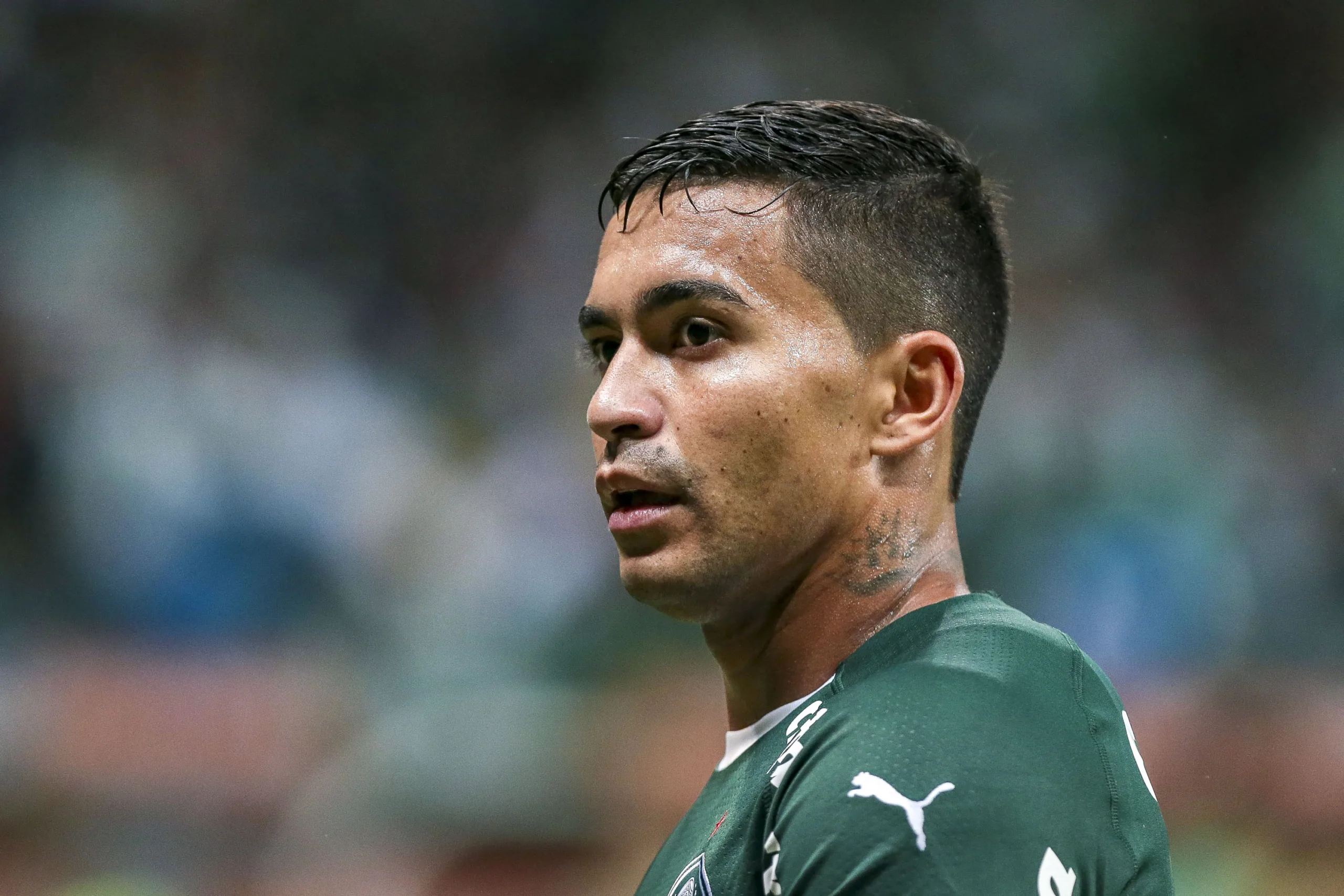 22 milhões: auditoria revela que golpe contra Dudu, do Palmeiras, é maior do que foi anunciado anteriormente 