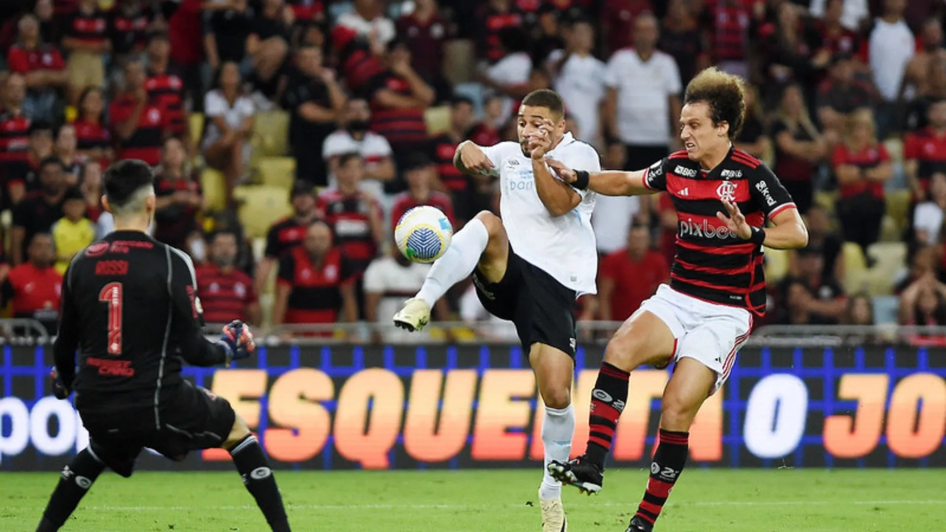 Grêmio x Flamengo: onde assistir AO VIVO o Brasileirão Série A