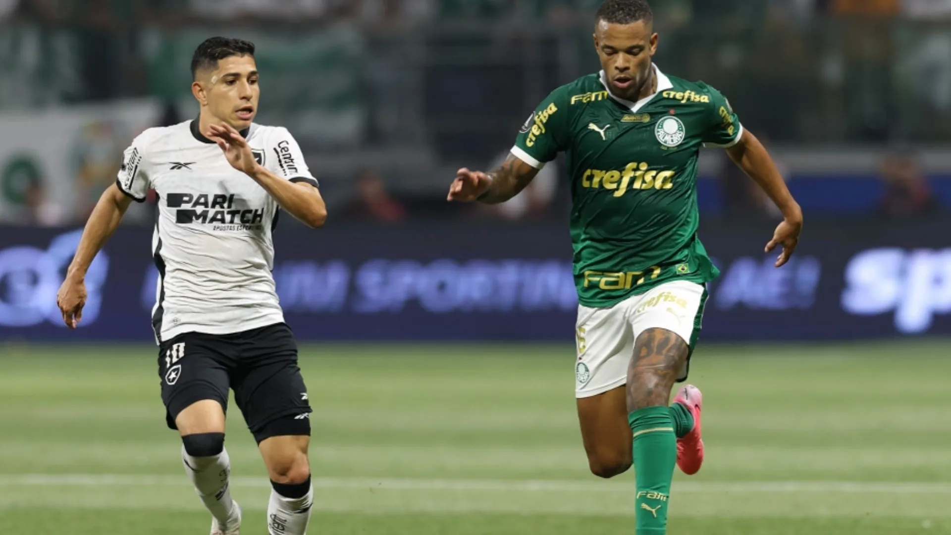 Muller sinaliza campeão do Brasileirão entre Botafogo e Palmeiras: “Se deixar ganha”