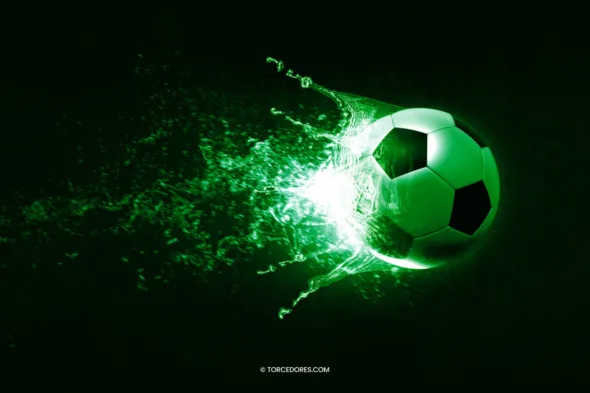 Odds Liga Portugal 2024/25: Benfica lidera como favorito